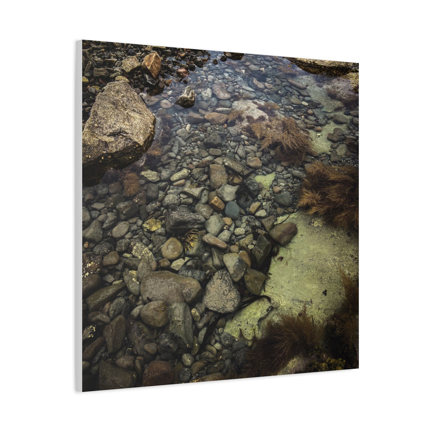 Rocks Matte Canvas, Stretched, 1.25"