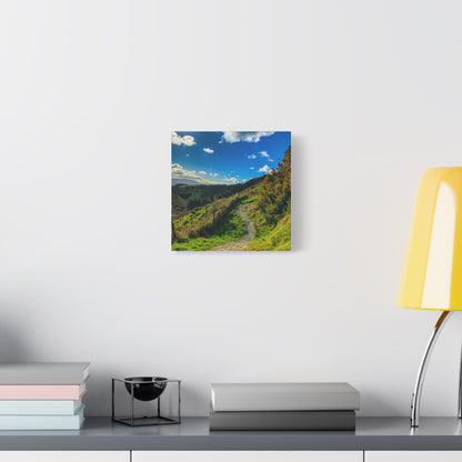 Glanageenty Forest Trail Matte Canvas, Stretched, 1.25"