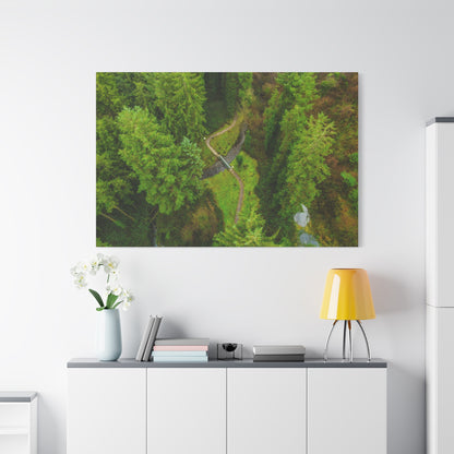 Glanageenty Forest Matte Canvas, Stretched, 1.25"