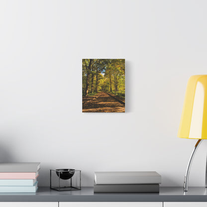 Listowel Town Park Autumn Matte Canvas, Stretched, 1.25"