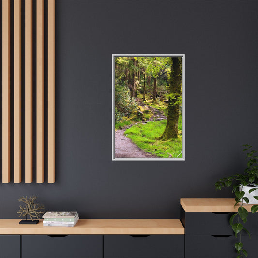 Torc Trail Matte Canvas, Framed (Multi-color)