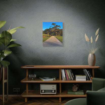 Muckross House Garden Matte Canvas, Stretched, 1.25"