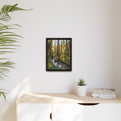 Glanageenty Forest Trail 2 Matte Canvas, Framed (Multi-color)