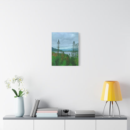 Torc Mountain Trail 2 Matte Canvas, Stretched, 1.25"