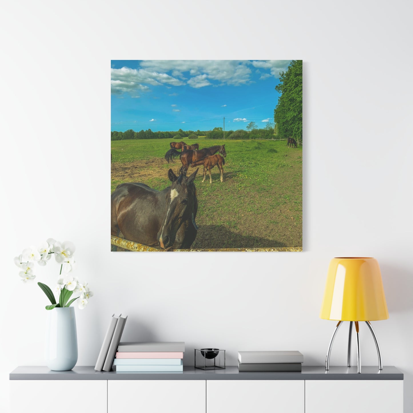 Horse Matte Canvas, Stretched, 1.25"