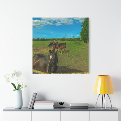 Horse Matte Canvas, Stretched, 1.25"
