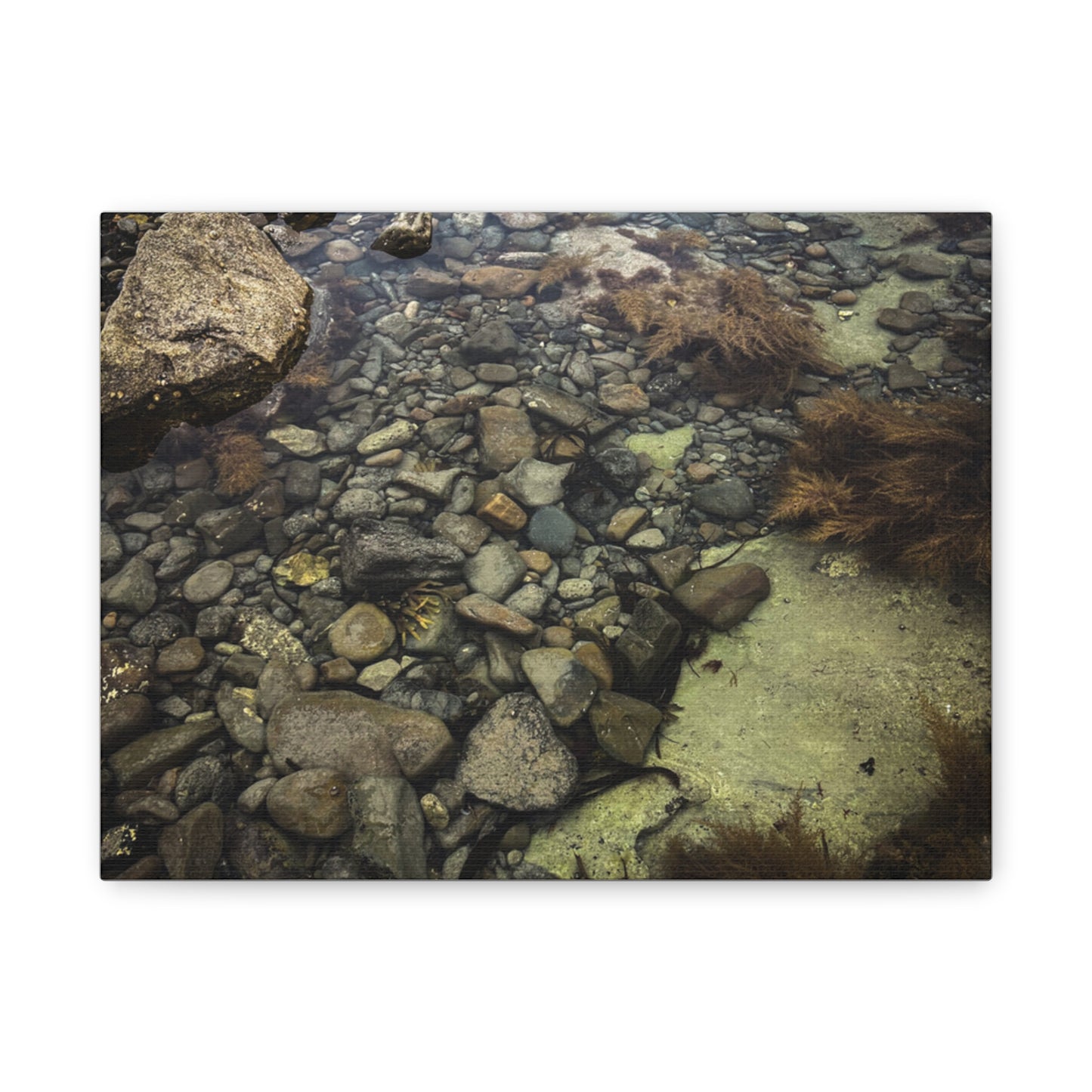 Rocks Matte Canvas, Stretched, 1.25"