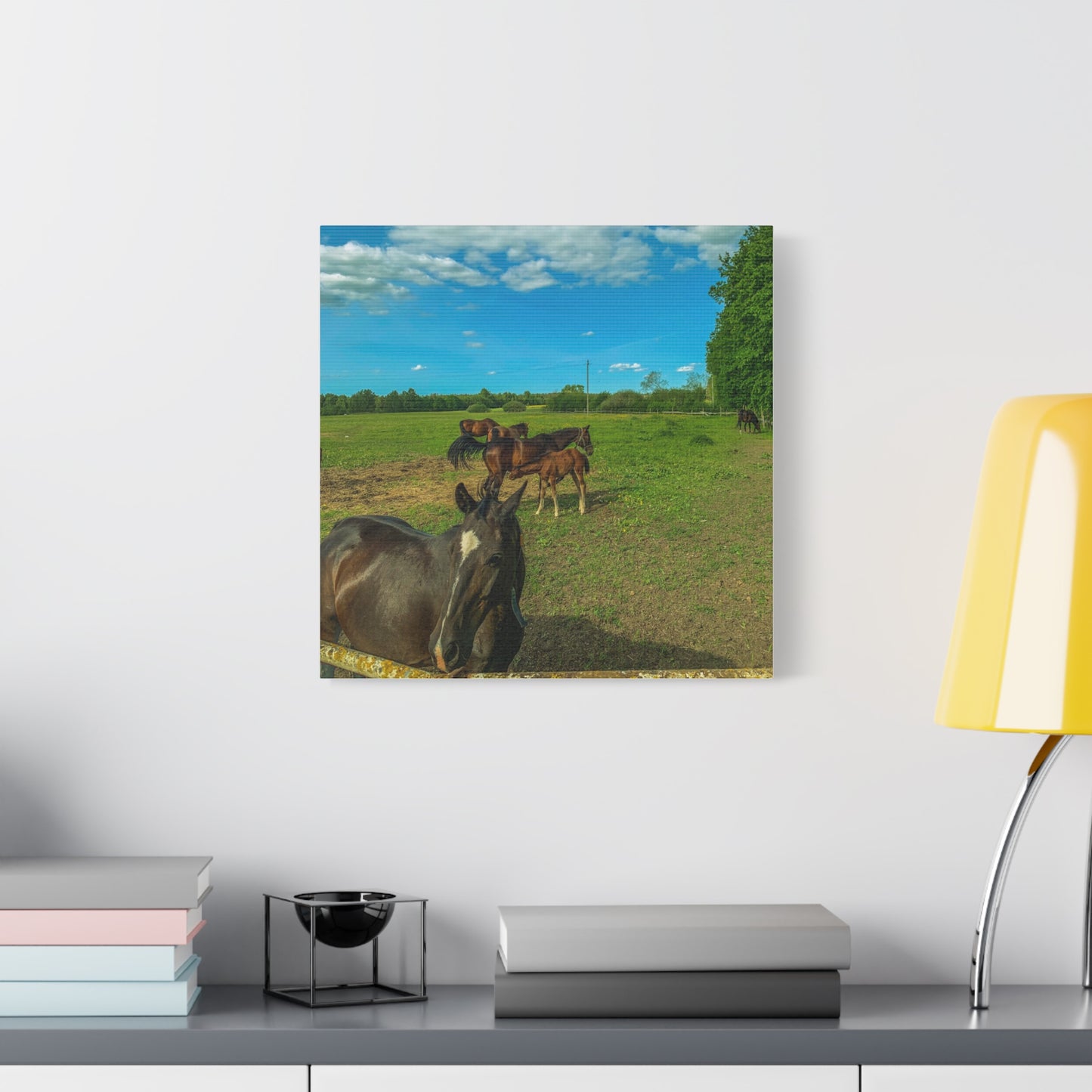 Horse Matte Canvas, Stretched, 1.25"