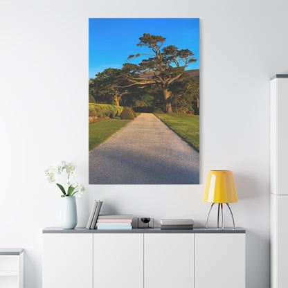 Muckross House Garden Matte Canvas, Stretched, 1.25"