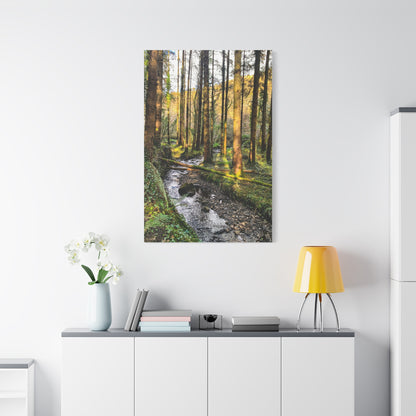 Glanageenty Forest Trail 2 Matte Canvas, Stretched, 1.25"