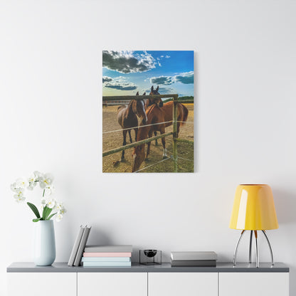 Horses Matte Canvas, Stretched, 1.25"
