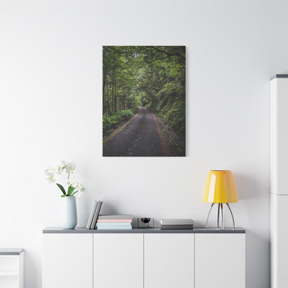 Glanageenty Forest Trail Matte Canvas, Stretched, 1.25"
