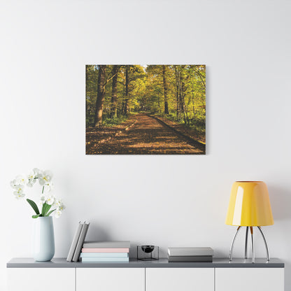 Listowel Town Park Autumn Matte Canvas, Stretched, 1.25"