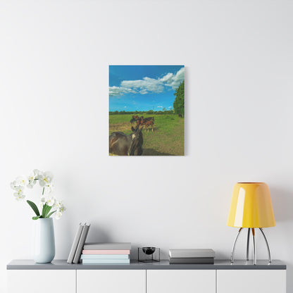 Horse Matte Canvas, Stretched, 1.25"