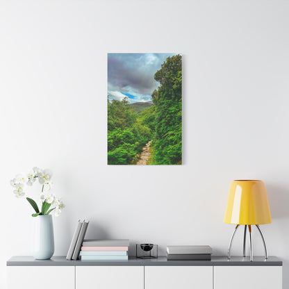 Torc Trail Matte Canvas, Stretched, 1.25"