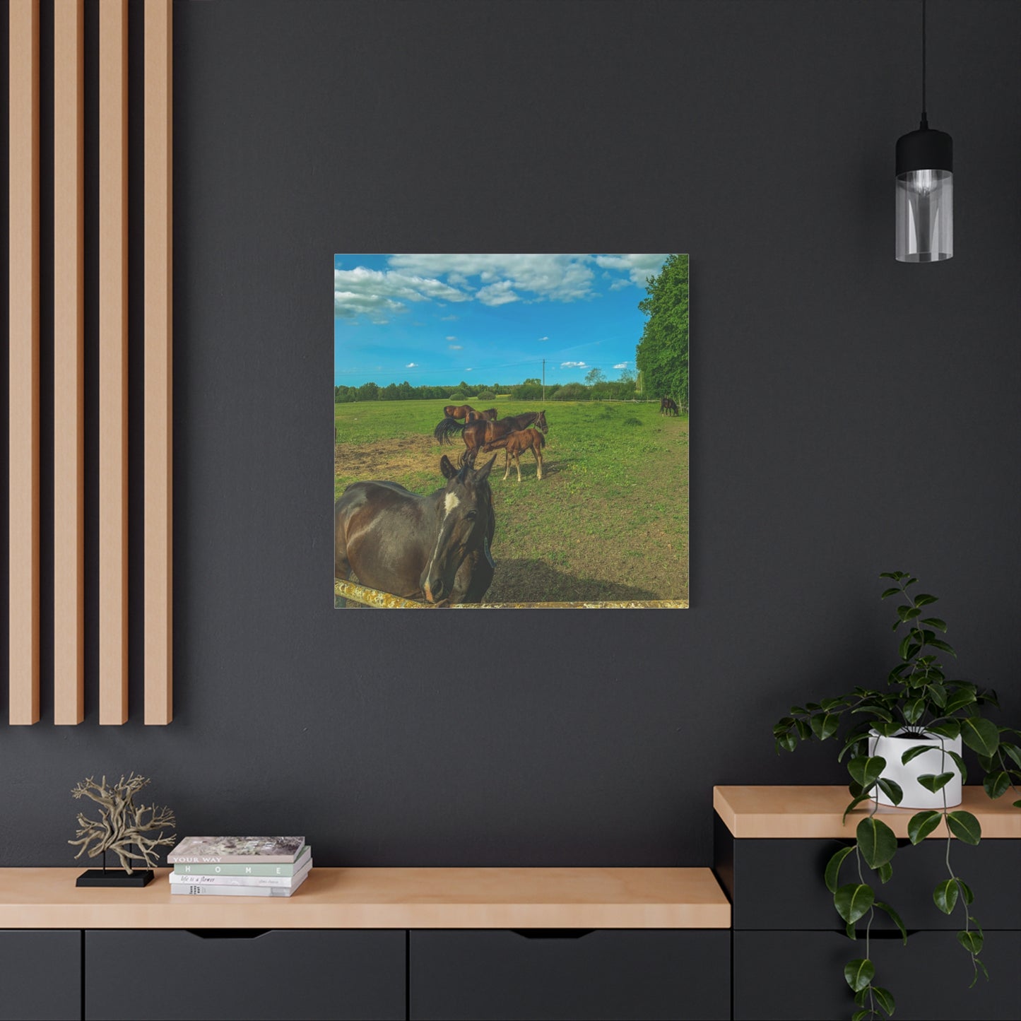 Horse Matte Canvas, Stretched, 1.25"