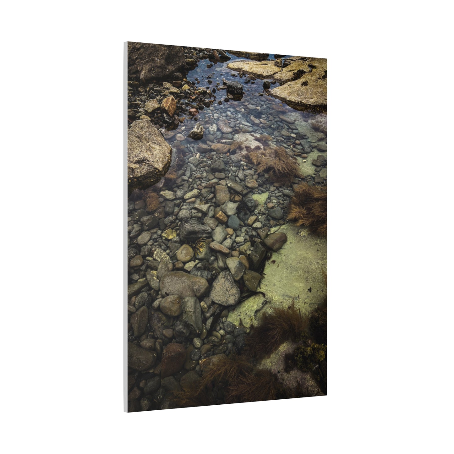 Rocks Matte Canvas, Stretched, 1.25"