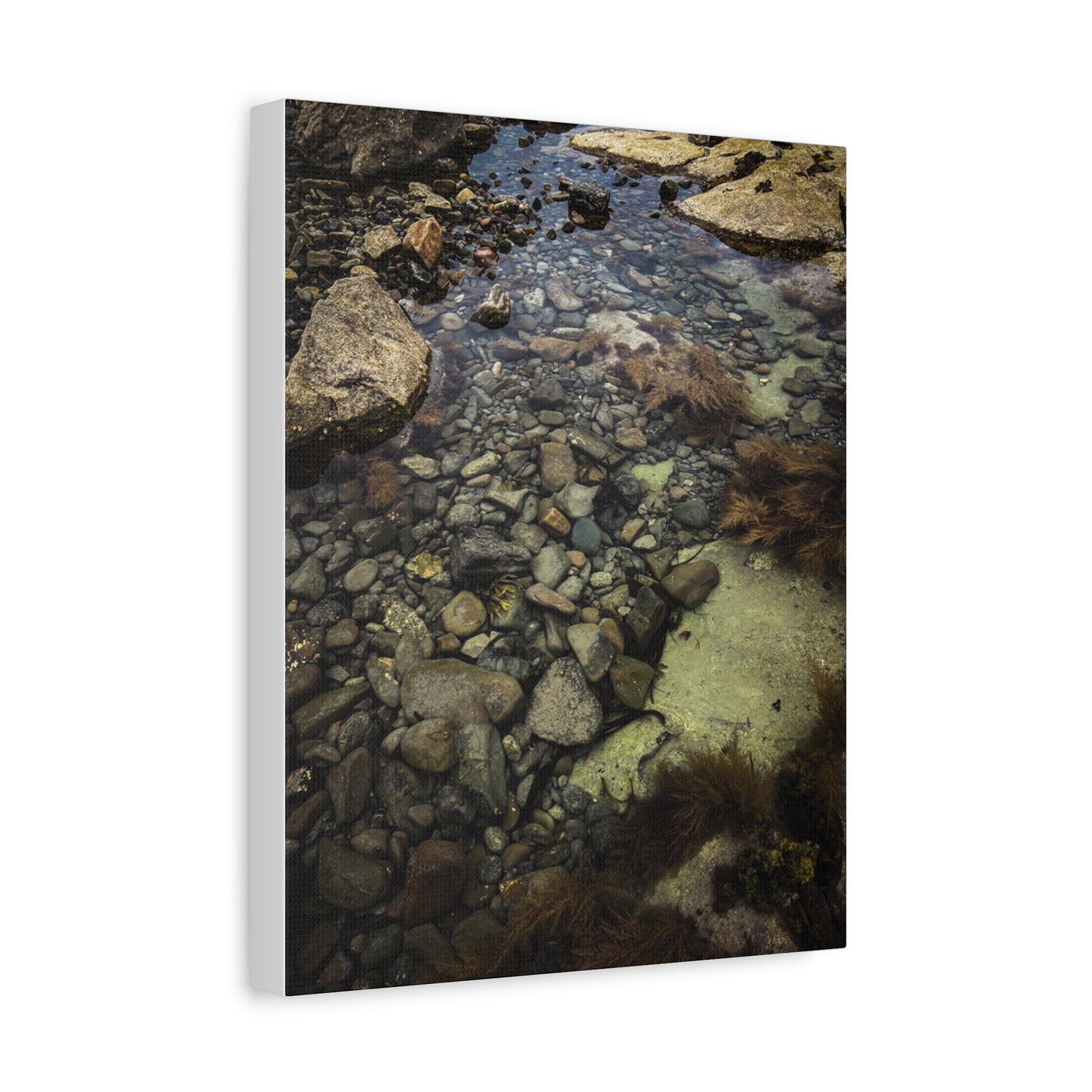 Rocks Matte Canvas, Stretched, 1.25"