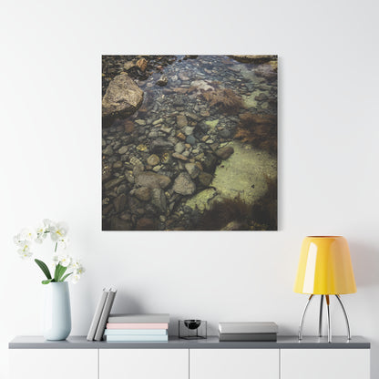 Rocks Matte Canvas, Stretched, 1.25"