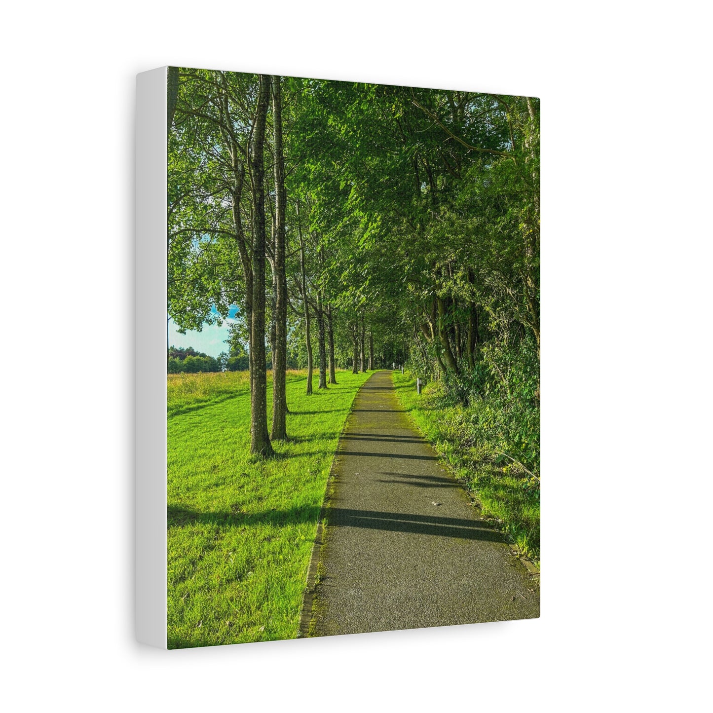Listowel Town Park Matte Canvas, Stretched, 1.25"