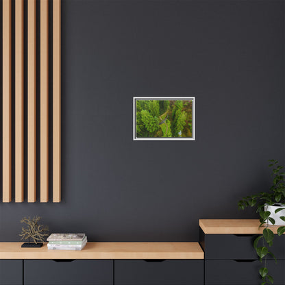 Glanageenty Forest Matte Canvas, Framed (Multi-color)