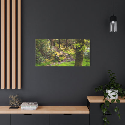 Torc Trail Matte Canvas, Stretched, 1.25"