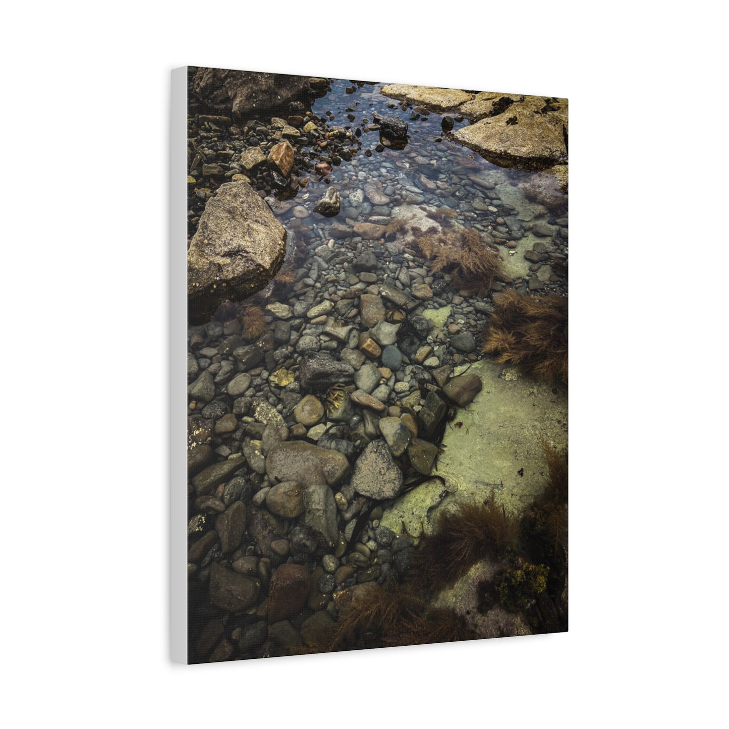 Rocks Matte Canvas, Stretched, 1.25"