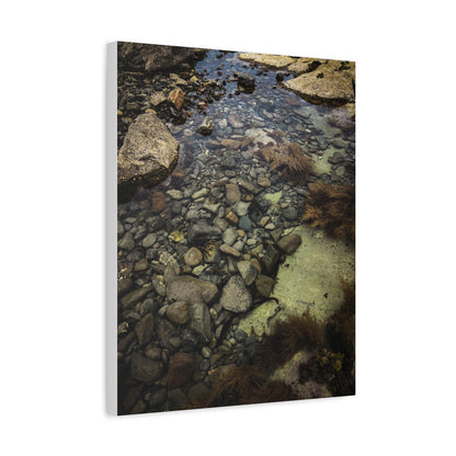 Rocks Matte Canvas, Stretched, 1.25"