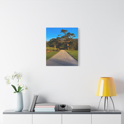 Muckross House Garden Matte Canvas, Stretched, 1.25"