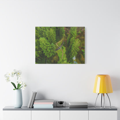 Glanageenty Forest Matte Canvas, Stretched, 1.25"