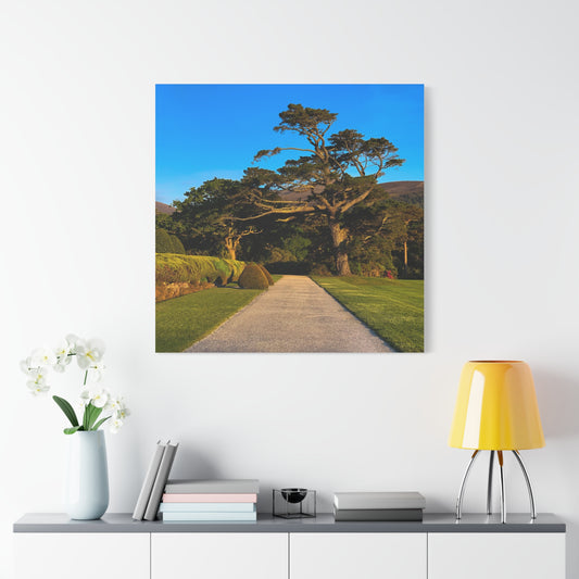 Muckross House Garden Matte Canvas, Stretched, 1.25"
