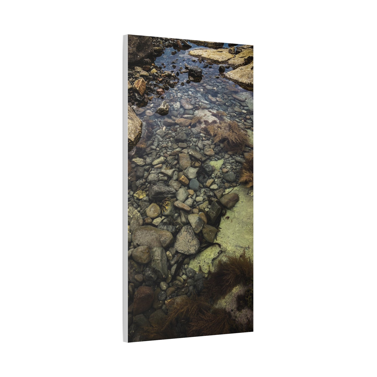 Rocks Matte Canvas, Stretched, 1.25"