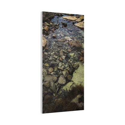 Rocks Matte Canvas, Stretched, 1.25"