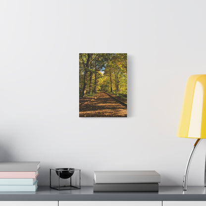 Listowel Town Park Autumn Matte Canvas, Stretched, 1.25"