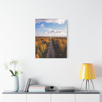 Somewhere in Lithuania Matte Canvas, Stretched, 1.25"