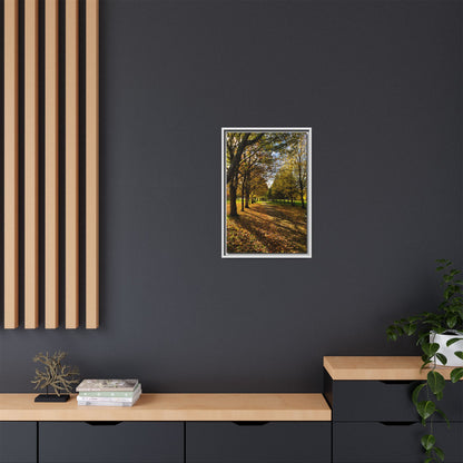 Listowel town Park Autumn Matte Canvas, Framed (Multi-color)