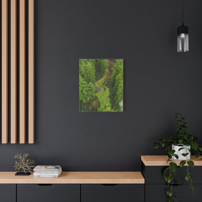 Glanageenty Forest Matte Canvas, Stretched, 1.25"