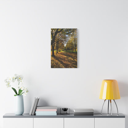 Listowel Town Park Autumn Matte Canvas, Stretched, 1.25"