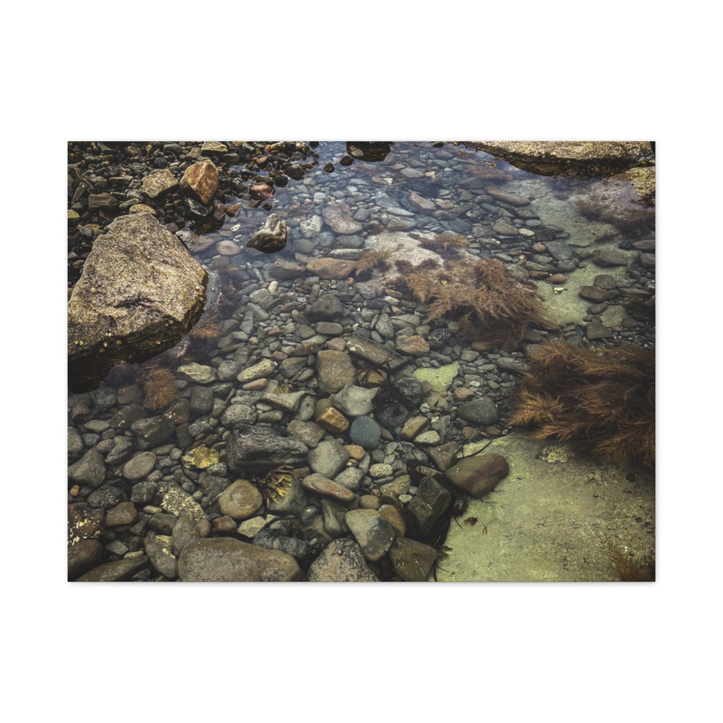 Rocks Matte Canvas, Stretched, 1.25"