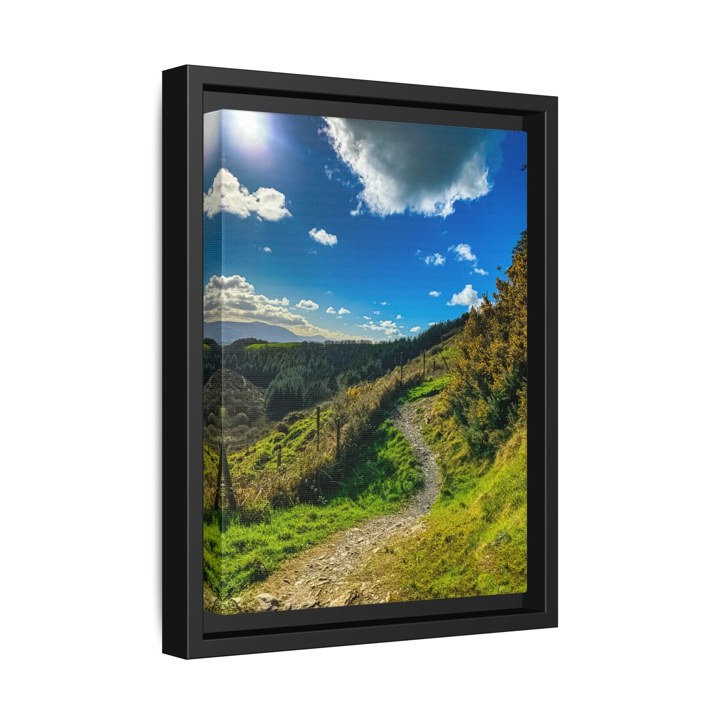 Glanageenty Forest Trail  Matte Canvas, Framed (Multi-color)