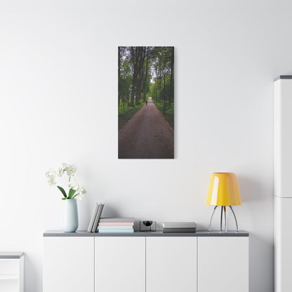 Zagares Park Lithuania Matte Canvas, Stretched, 1.25"