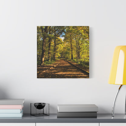 Listowel Town Park Autumn Matte Canvas, Stretched, 1.25"