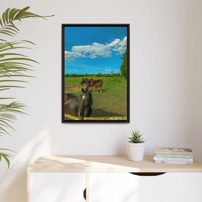 horses 2 Matte Canvas, Framed (Multi-color)