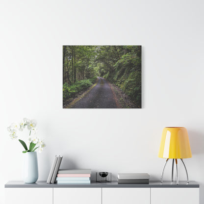 Glanageenty Forest Trail Matte Canvas, Stretched, 1.25"