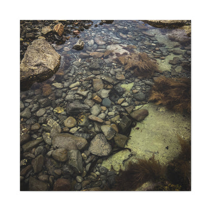 Rocks Matte Canvas, Stretched, 1.25"