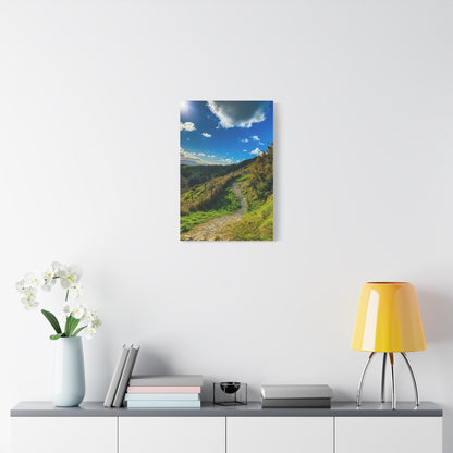 Glanageenty Forest Trail Matte Canvas, Stretched, 1.25"