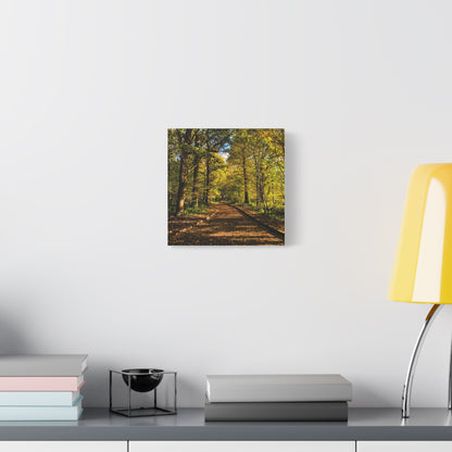 Listowel Town Park Autumn Matte Canvas, Stretched, 1.25"