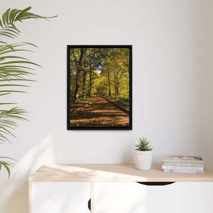 Listowel Town Park Autumn Matte Canvas, Framed (Multi-color)