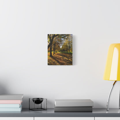 Listowel Town Park Autumn Matte Canvas, Stretched, 1.25"