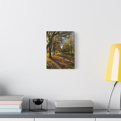 Listowel Town Park Autumn Matte Canvas, Stretched, 1.25"